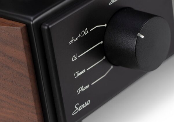 Mastersound senso input selector